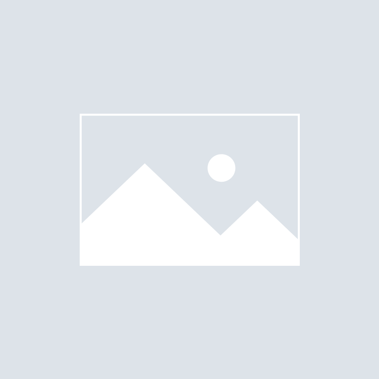 COMPANY VISION
